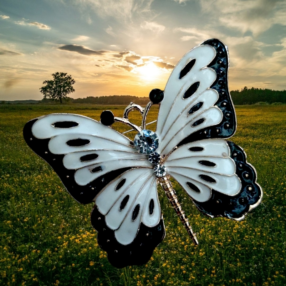 Black and White Butterfly Brooch